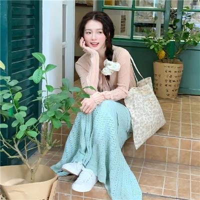 功夫传人之龙拳小子